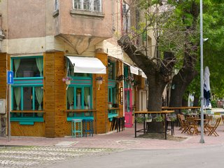 Mono Loco Tacos & Tequila Bar
